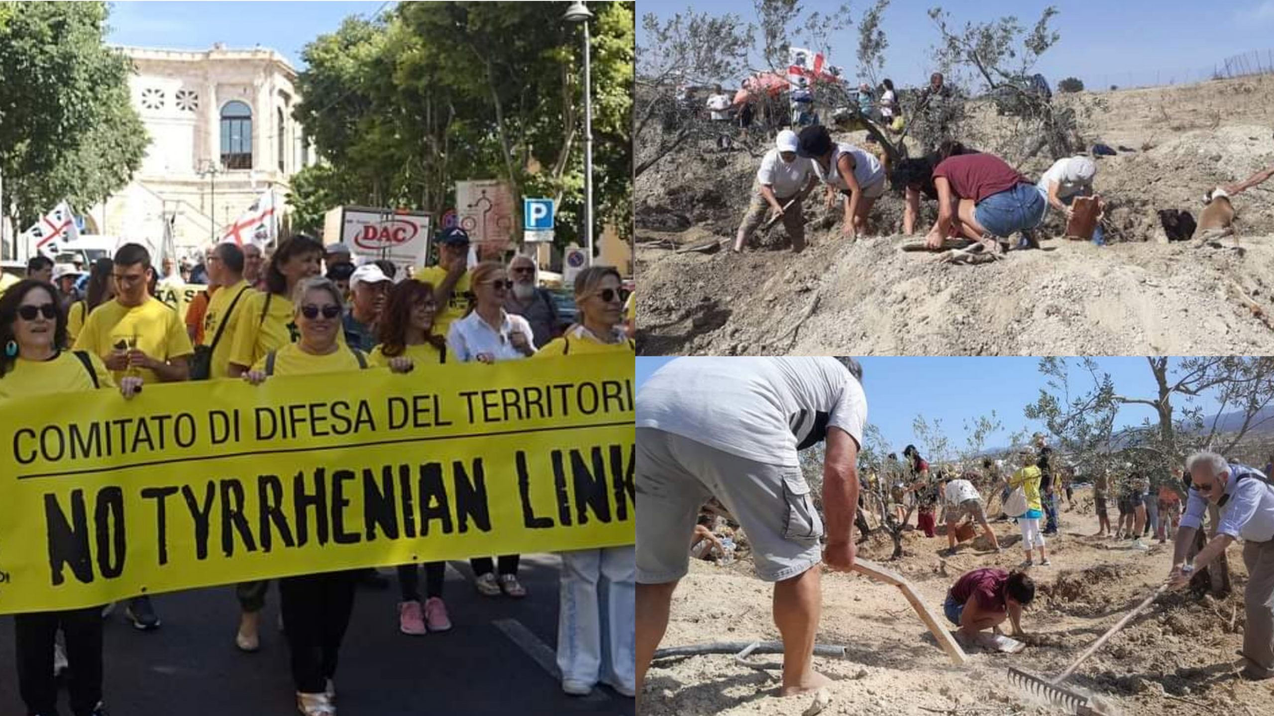 Selargius, rivolta contro espropri di Terna: ulivi occupati da chi si oppone al Tyrrhenian Link