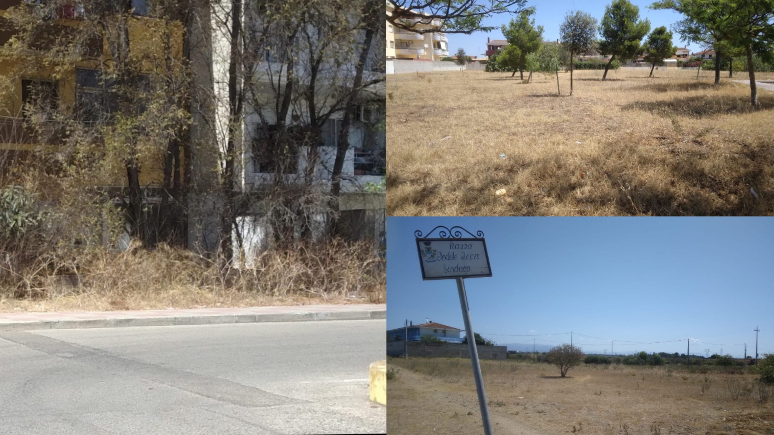 Assemini, il verde pubblico è ingiallito e appassito