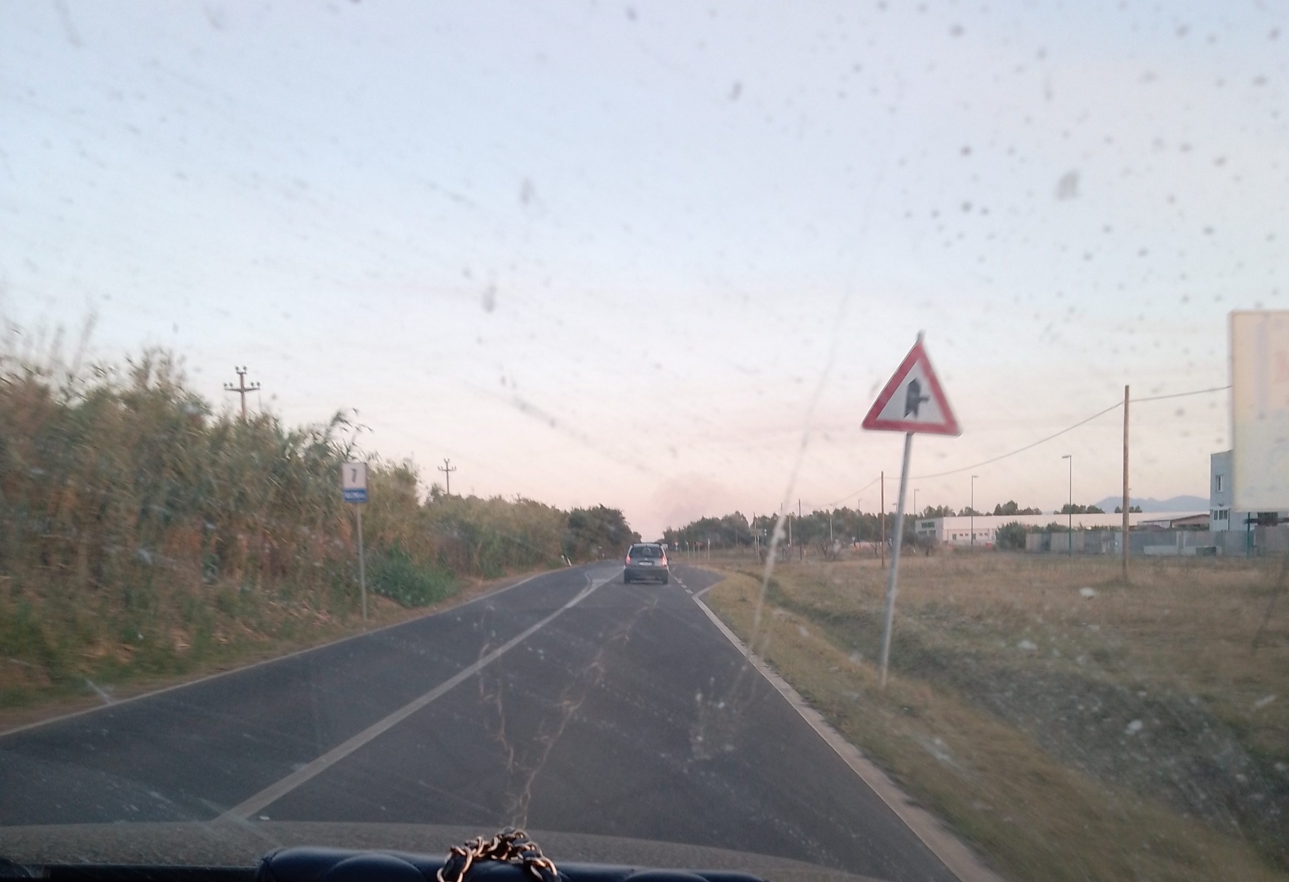 Serramanna, ancora cani che vagabondano lungo la Ss 196