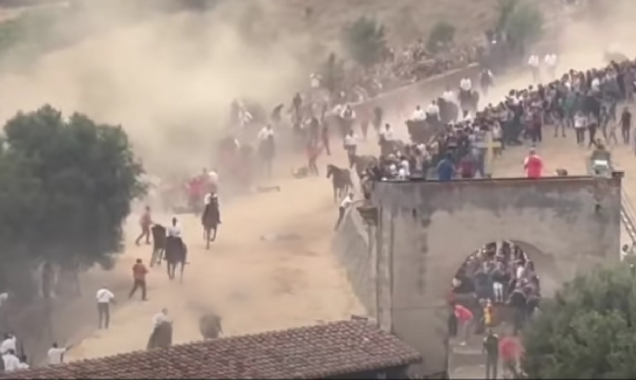 Sedilo, giostra equestre sospesa dopo la rovinosa caduta di diversi cavalieri