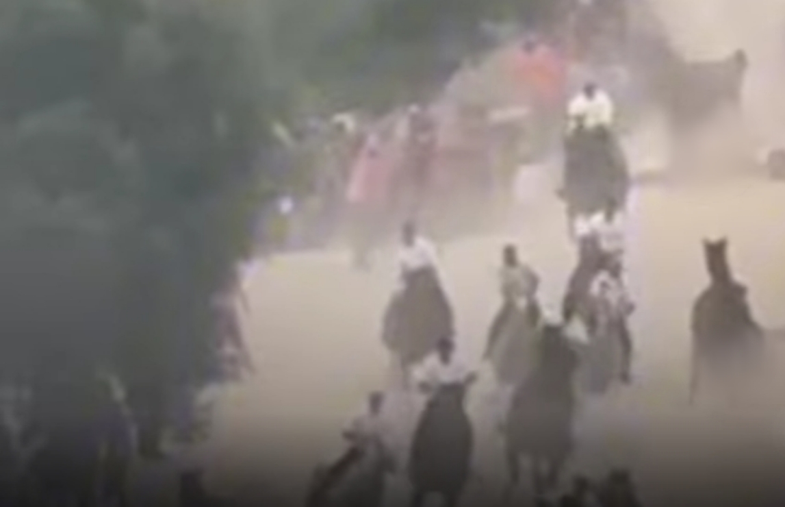 Cavalli feriti durante l’Ardia di Sedilo, infuriano le polemiche: “È una corsa al massacro”