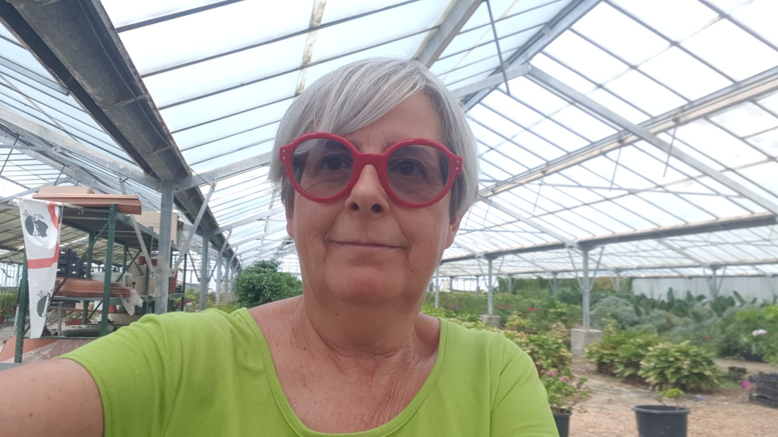 Il vivaio che gestiscono a Quartu finisce all’asta: “A 60 anni perderemo il lavoro per colpa di debiti non nostri”