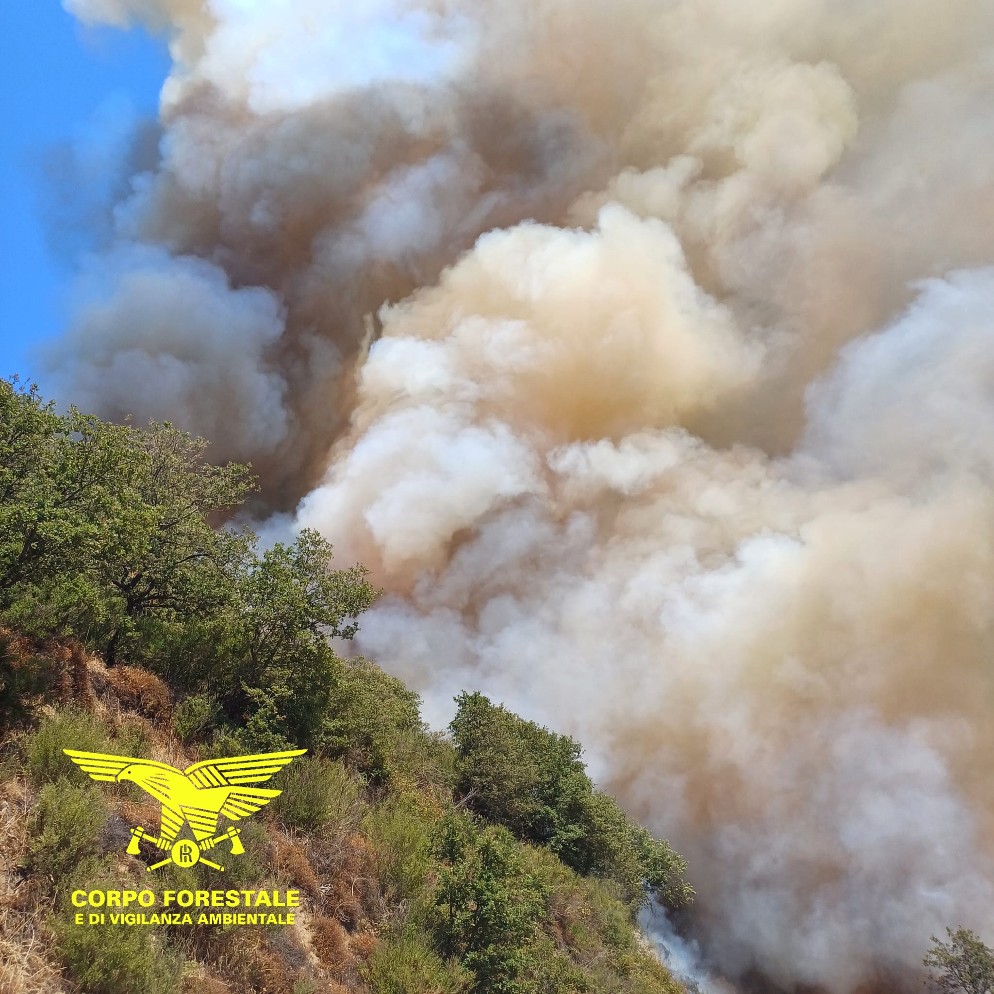 Sardegna, spaventoso incendio nei boschi di Burgos: in volo un Canadair e un SuperPuma