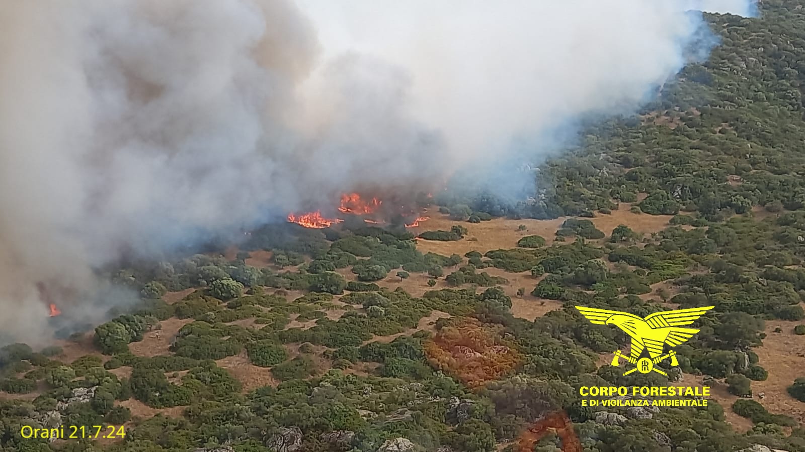 Sardegna devastata dal fuoco: il triste record di ben venti incendi, fiamme in varie zona dell’Isola