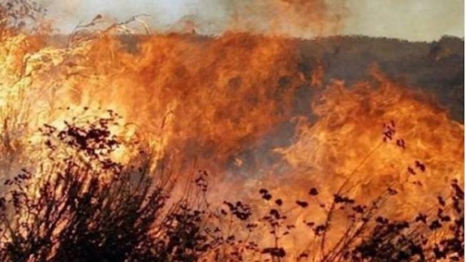 Portoscuso, grosso incendio a Paringianu, il Comune avvisa i cittadini: “Pronti ad evacuare le abitazioni”