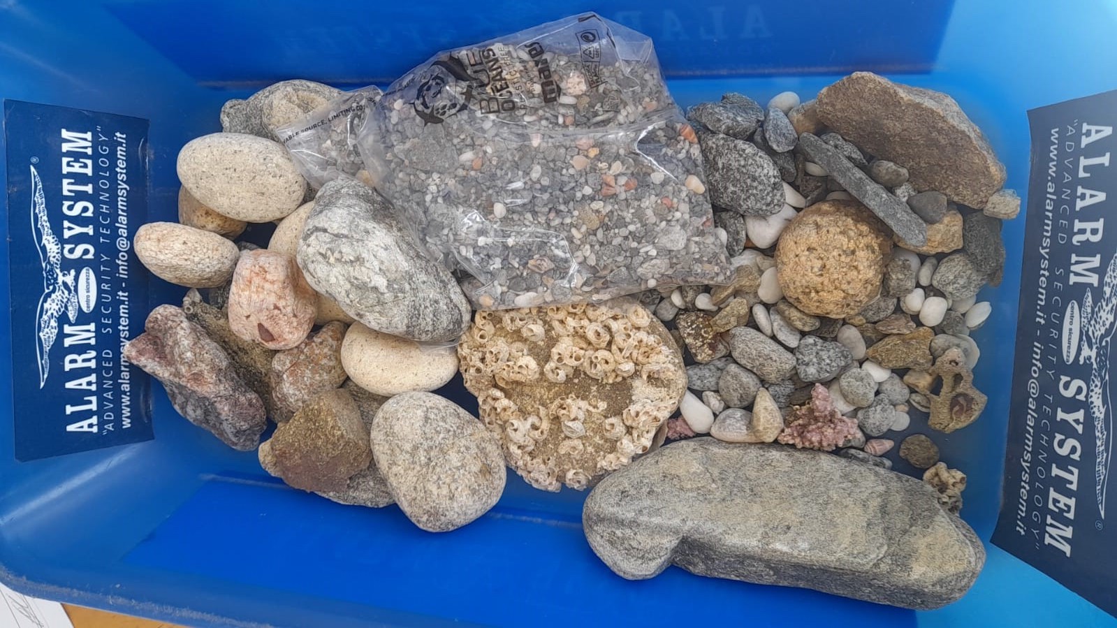 Pietre e conchiglie nel bagagliaio e nel camper: due coppie di turisti fermate a Olbia