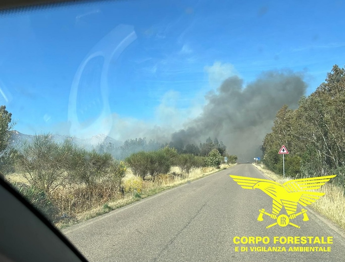 Dieci incendi oggi in Sardegna: bosco in fiamme a Siliqua