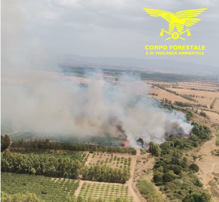 Devastante incendio a Villacidro, agricoltori in ginocchio: il fuoco divora dieci ettari