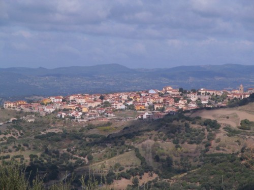 Aggredito a colpi di roncola per un litigio sui terreni confinanti: 54enne in coma al Brotzu di Cagliari