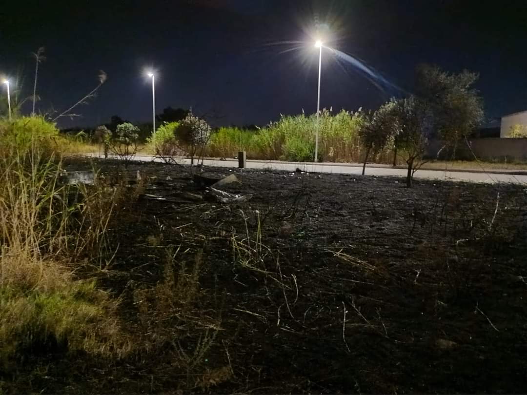 Quartu, colonie feline cancellate dagli incendi: “Tanti gatti senza più un rifugio sicuro”