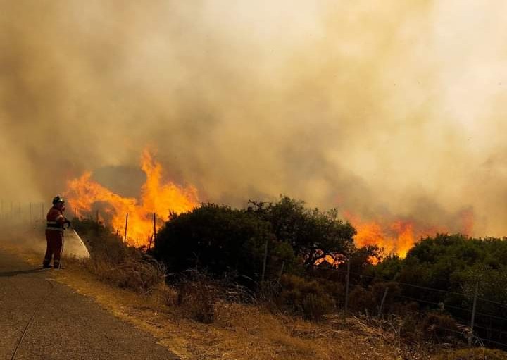 Sardegna in fiamme, ieri registrati 16 grossi roghi