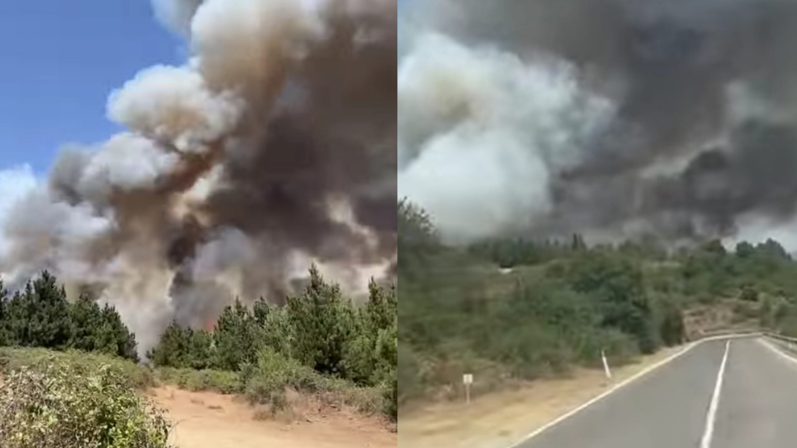 Aritzo, Sa Serra, Burgos: tutto in fiamme, a rischio uno dei polmoni verdi più belli della Sardegna