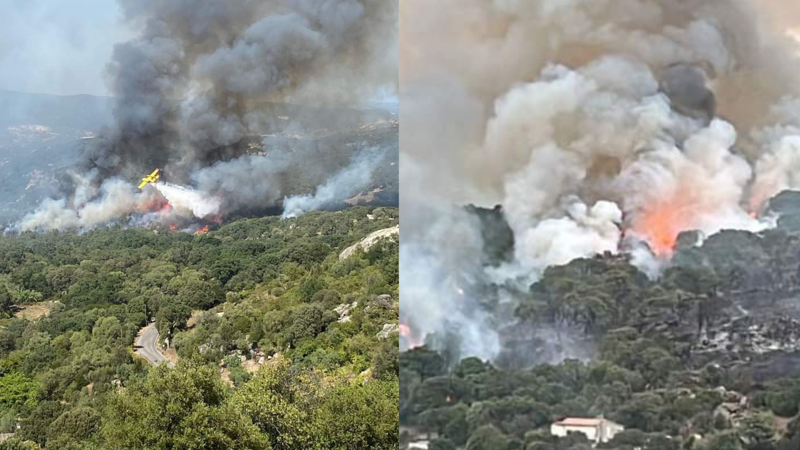 Calangianus devastata dal fuoco, lo sconforto del sindaco Fabio Albieri