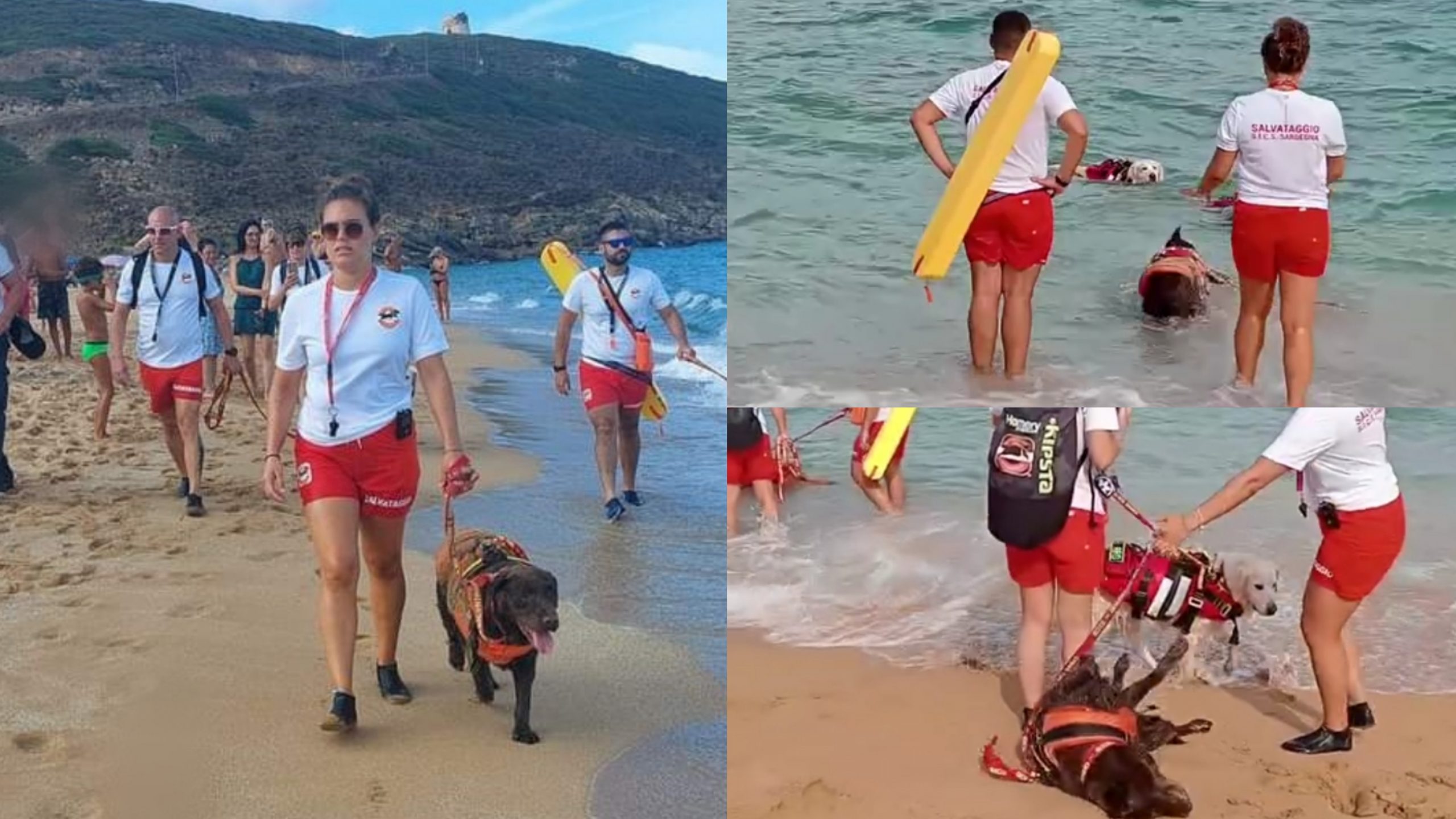 Torre dei Corsari, i bagnini a quattro zampe conquistano tutti