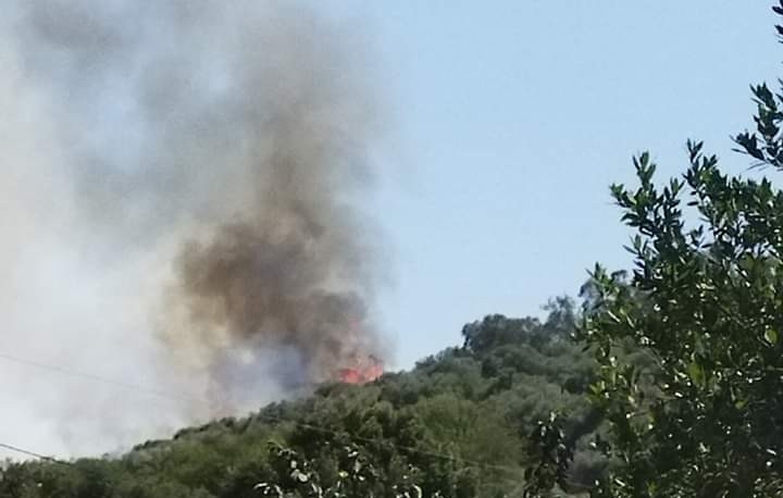 La Sardegna sotto attacco del fuoco: roghi devastanti a Gesico e Luras