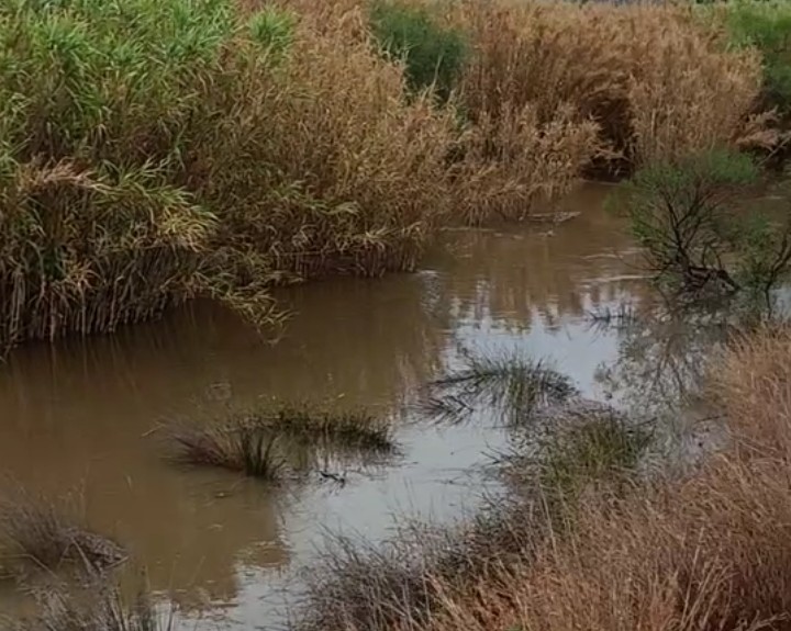 Paura a Capoterra, un violento temporale squarcia l’estate: strade come torrenti e l’incubo del passato