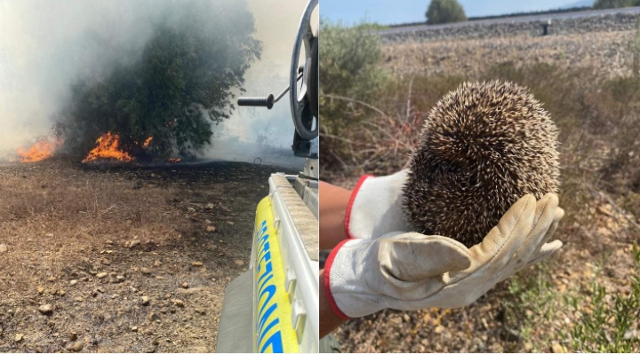 Gli incendi non si fermano: Villaspeciosa, Decimoputzu e Siliqua ancora sotto attacco