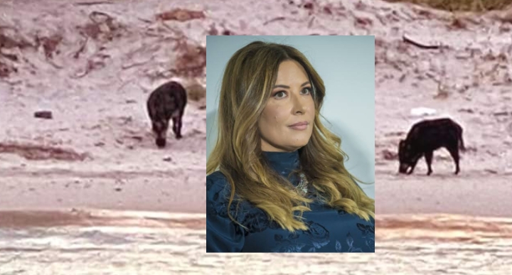 Selvaggia Lucarelli in campo a difesa dei cinghiali di Spargi