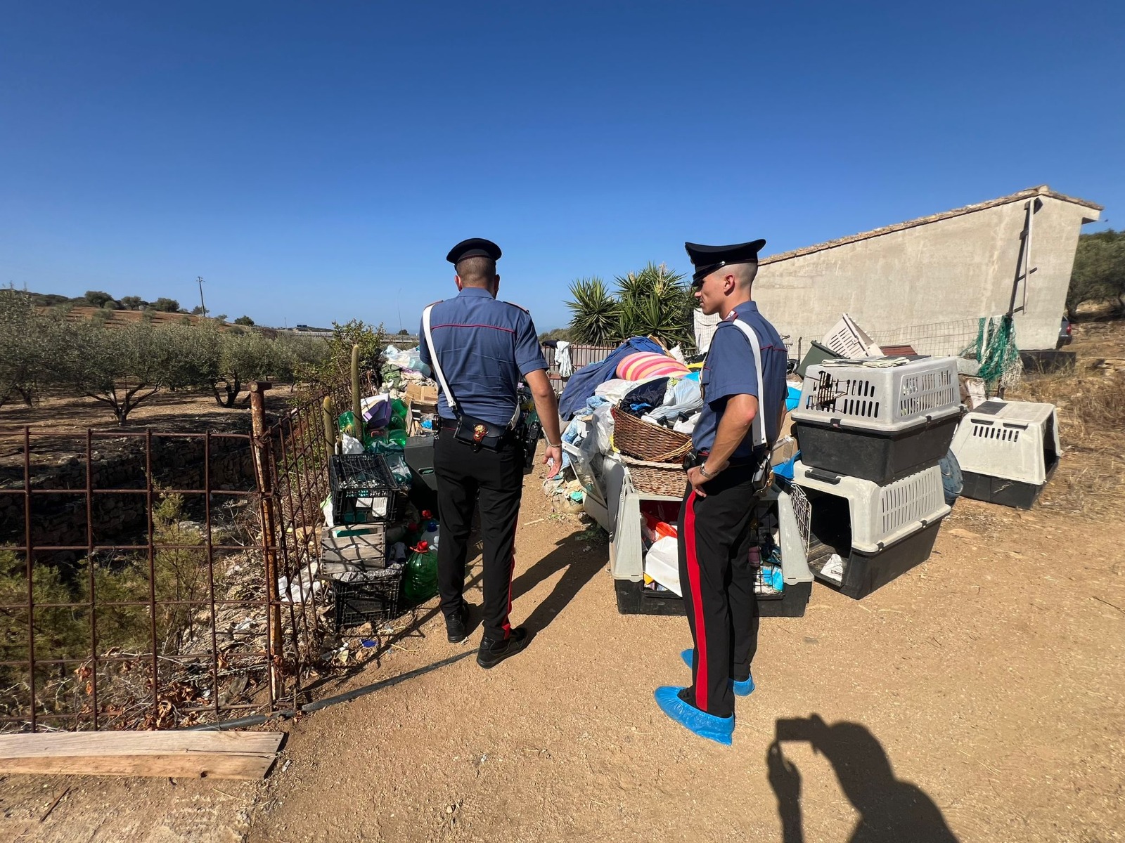 Canile lager a Quartu, ecco i soldi per salvare 120 cani: “Servizi sociali già allertati per le due donne denunciate”