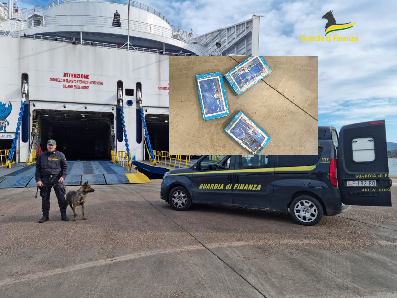 Sbarca in Sardegna con 3 chili di cocaina, 45enne sassarese fregato dai cani antidroga