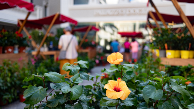 Corte Doglio si tinge di autunno: torna il Doglio Flower Market