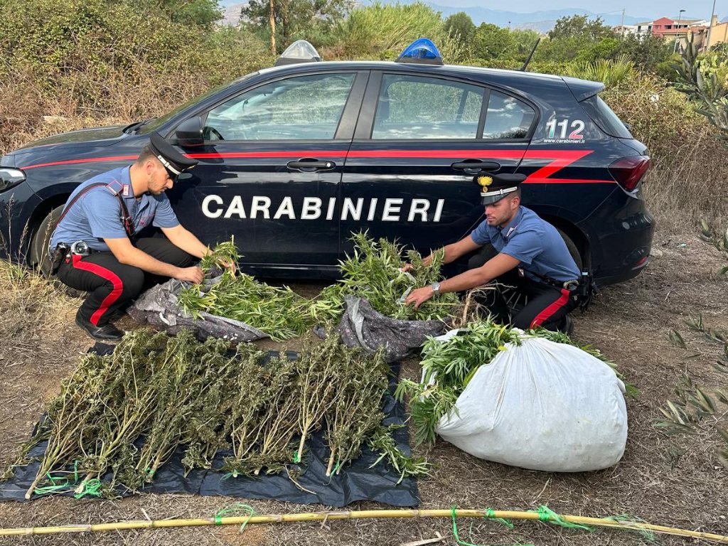 Tortolì, la scoperta dei carabinieri: 28 chili di marijuana nascosti dietro un’auto