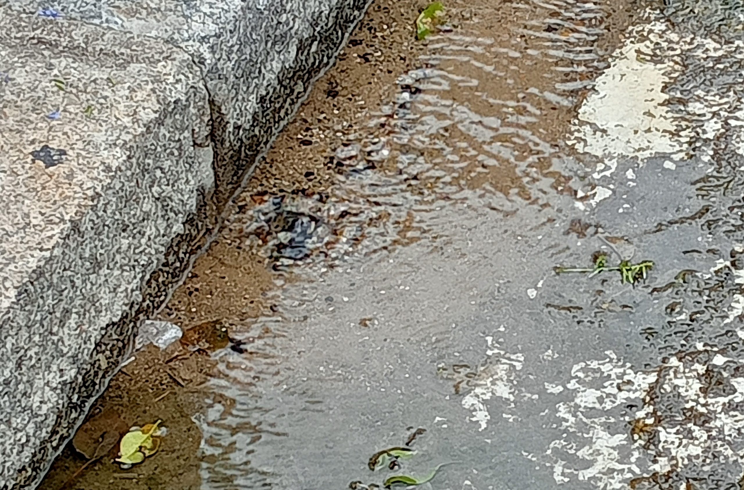 Condotta idrica colabrodo a Cagliari: “Utile per dissetare gatti e uccelli, ma a che prezzo?”