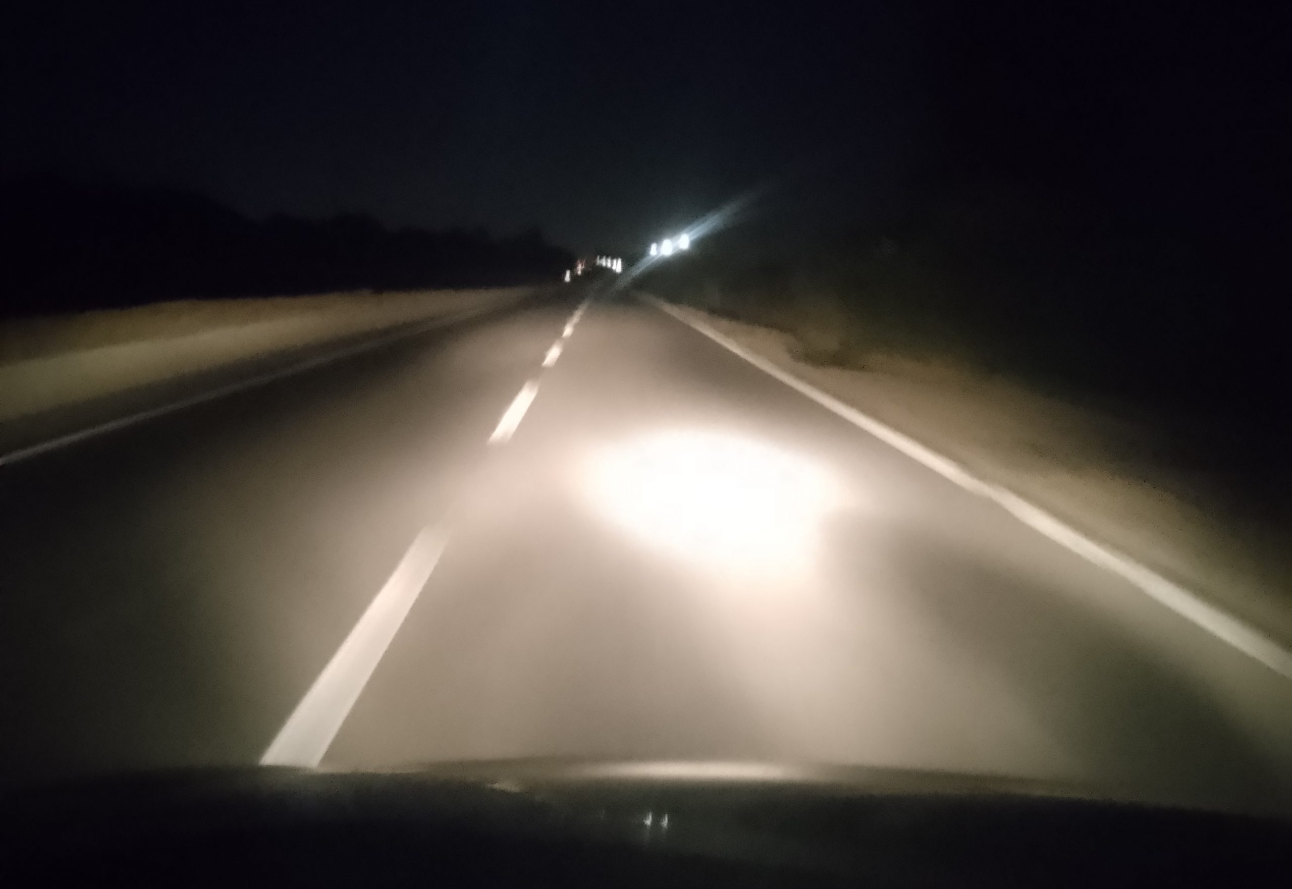 Samassi, cane scappa da casa per i botti e viene travolto da un’auto