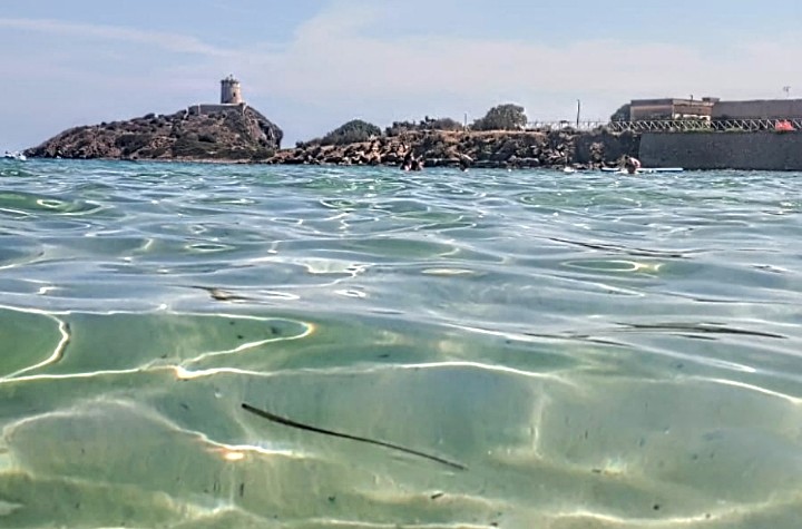 Nora al centro del mondo, al via PulArchàios