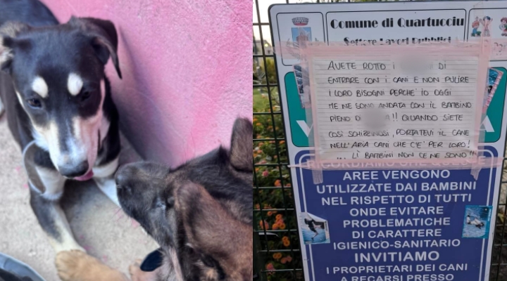 Quartucciu, parchi disseminati di deiezioni canine: genitori in rivolta