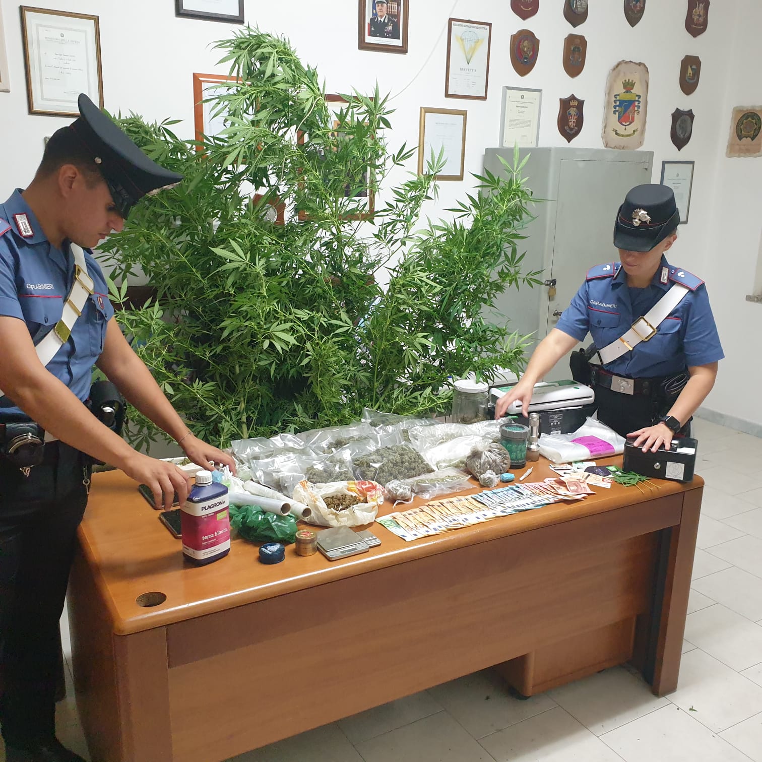 Traffico di droga fra Sinnai e Settimo, nei guai un 33enne e un 31enne