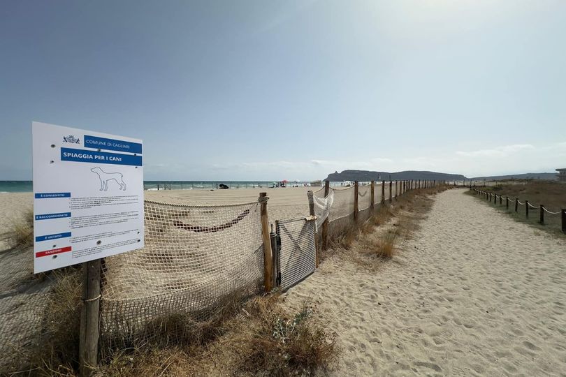 Cagliari, riapre l’area cani al Poetto: “Un pezzo della spiaggia restituito agli animali”