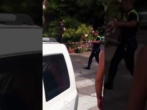 Cagliari, paura in viale Sant’Ignazio: un albero crolla in strada