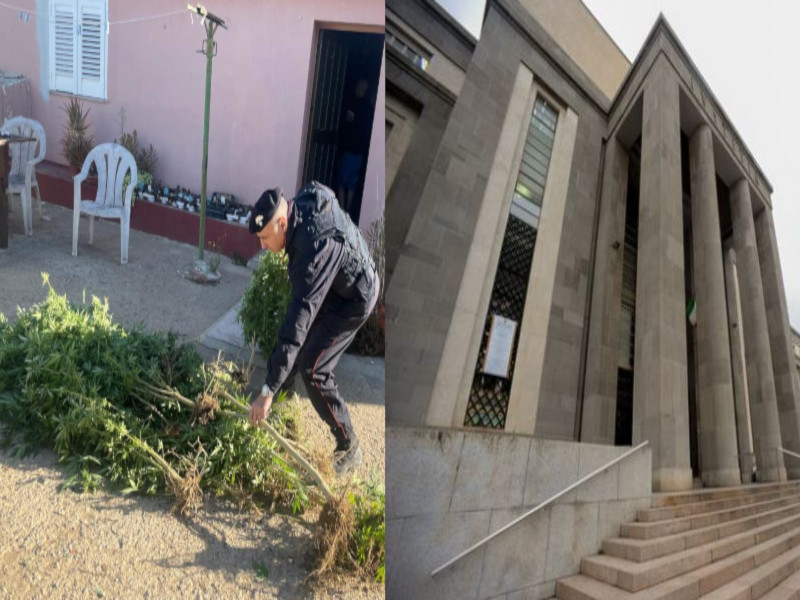 Mega serra di marijuana a Sestu, confermate condanna e denuncia per nipote e zio