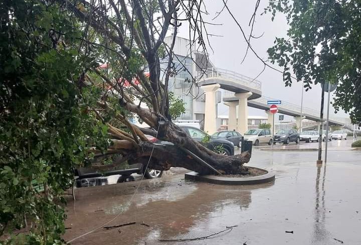 Violento nubifragio a Samassi: il vento strappa via un albero storico