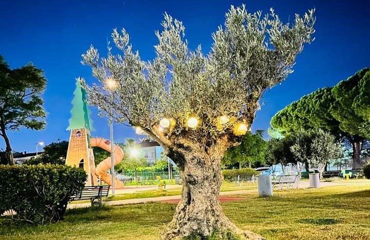 Monserrato, tante piccole farfalle si poseranno oggi tra i rami dell’ulivo al parco Magico