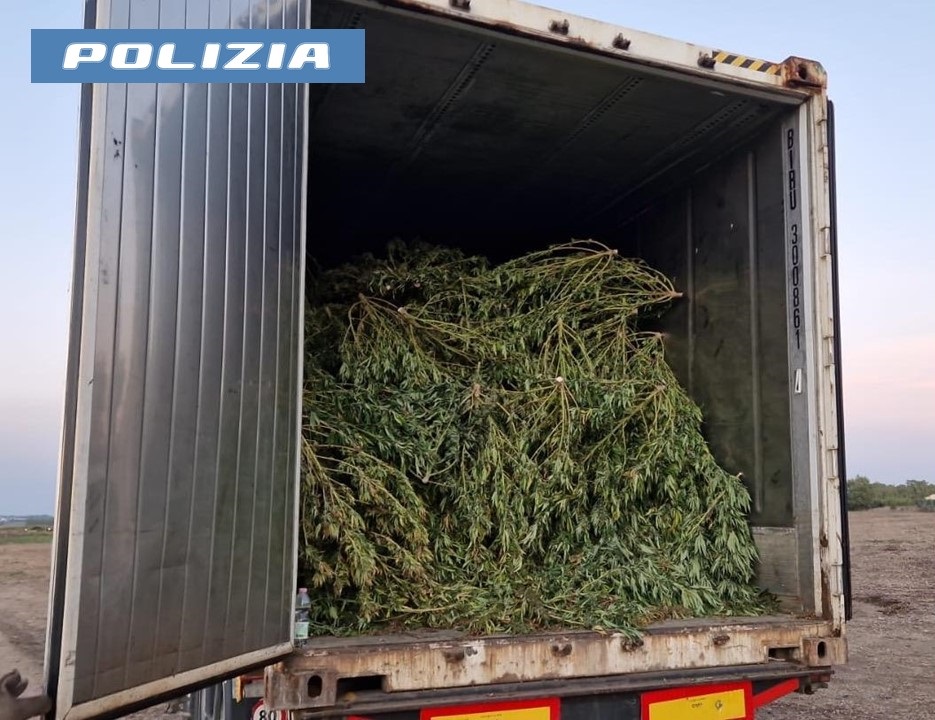 Sorpreso con 8mila piante di marijuana, guai confermati per Luigi Sanniu: il 29enne di Villacidro ai domiciliari