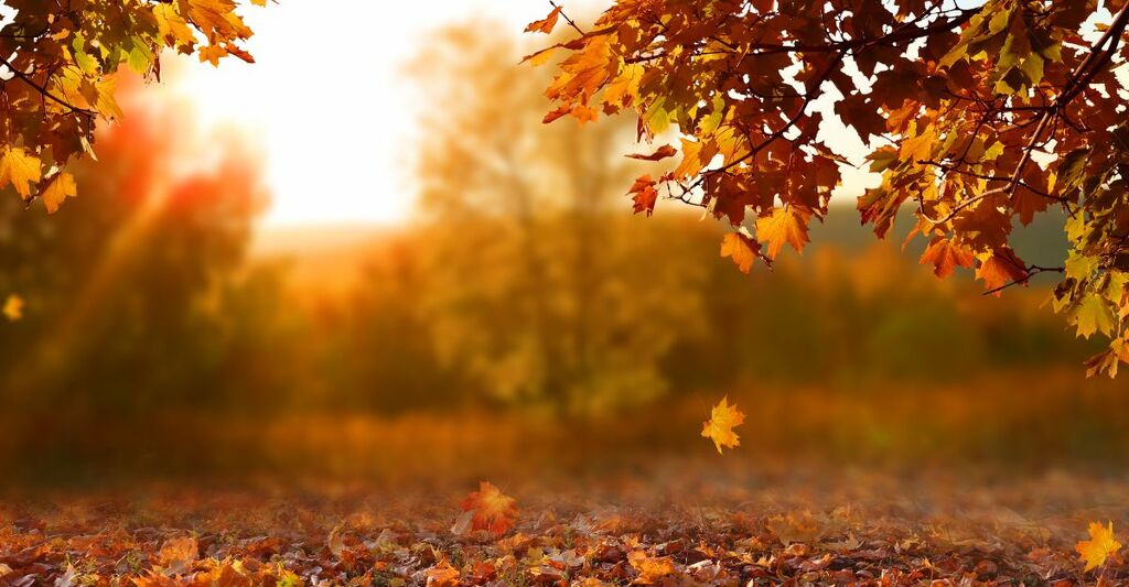 Meteo Casteddu, dopo i temporali cieli sereni su tutta l’Isola e netto aumento delle temperature