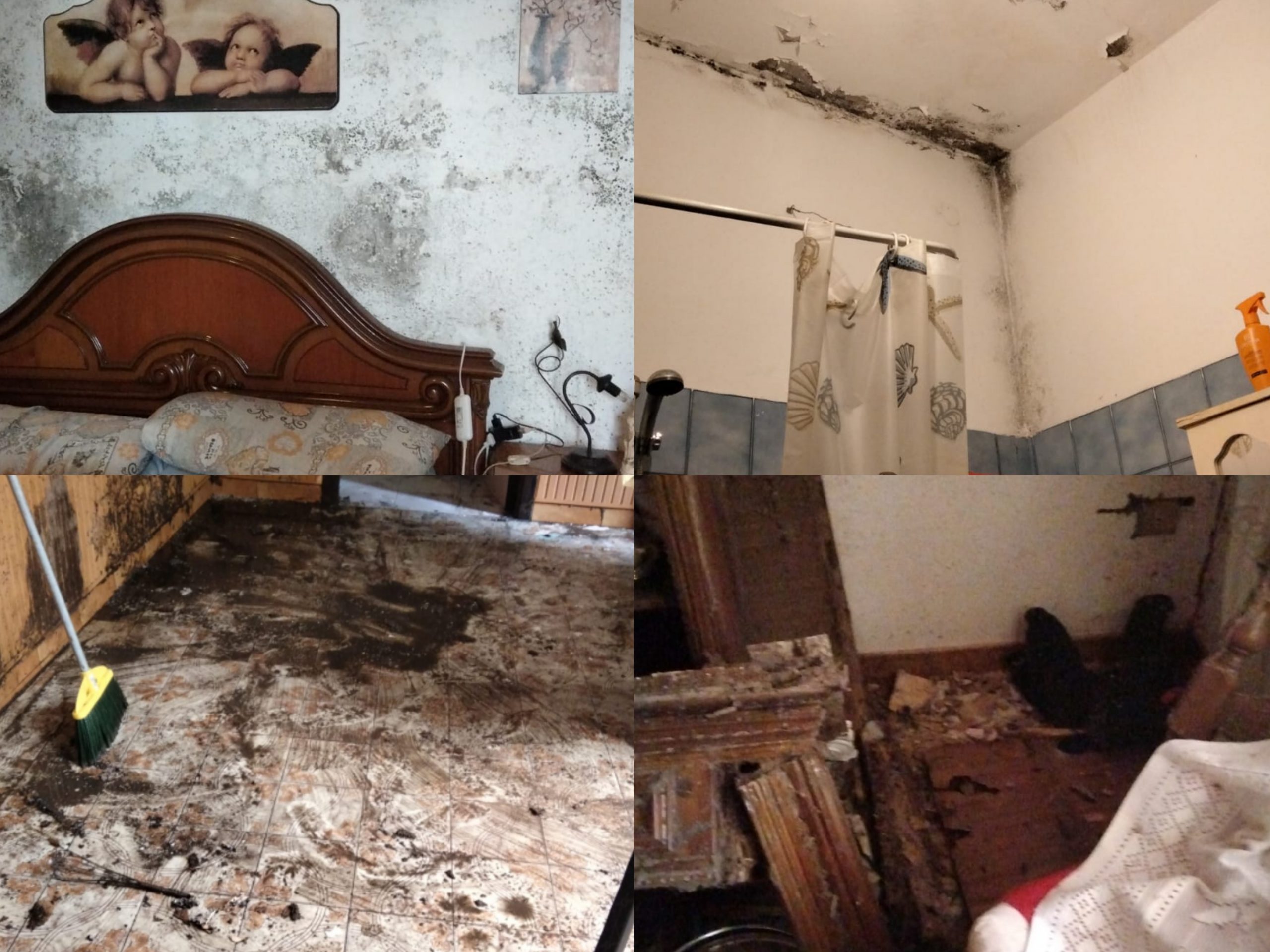 Monserrato, la casa cade a pezzi: “Impossibile avere un alloggio popolare con due figli malati”