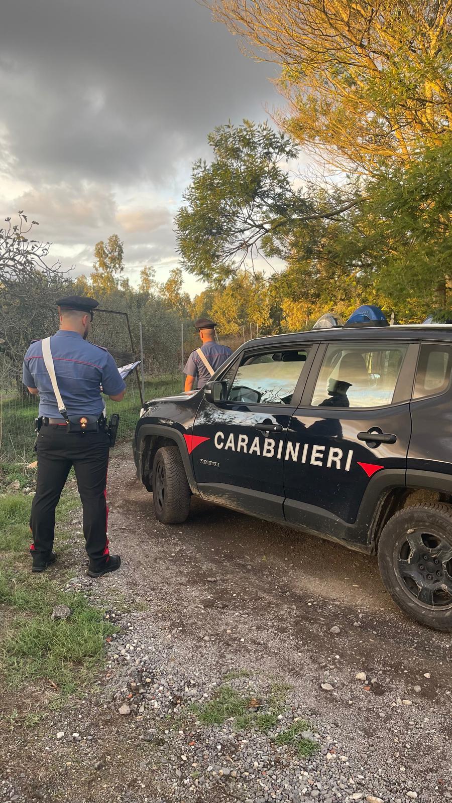 Coltivazione di droga, un arresto a San Gavino Monreale