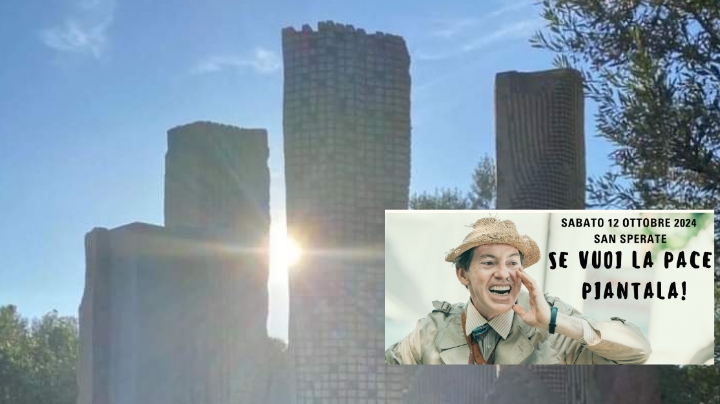 San Sperate: nel giardino sonoro di Sciola una pianta sopravvissuta alla bomba atomica di Nagasaki