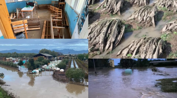 Alluvione tra Sulcis, Medio Campidano e Oristanese: case allagate, strade inagibili, treni ko, raccolti distrutti e animali spazzati via