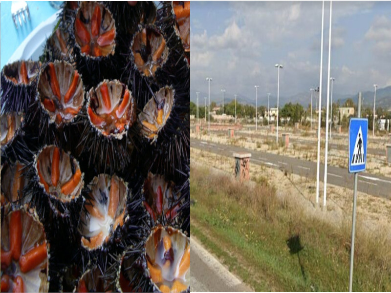 Si ai ricci gustati vista mare a Quartu e a Flumini risorge lo storico mercatino: “Con spettacoli e eventi”