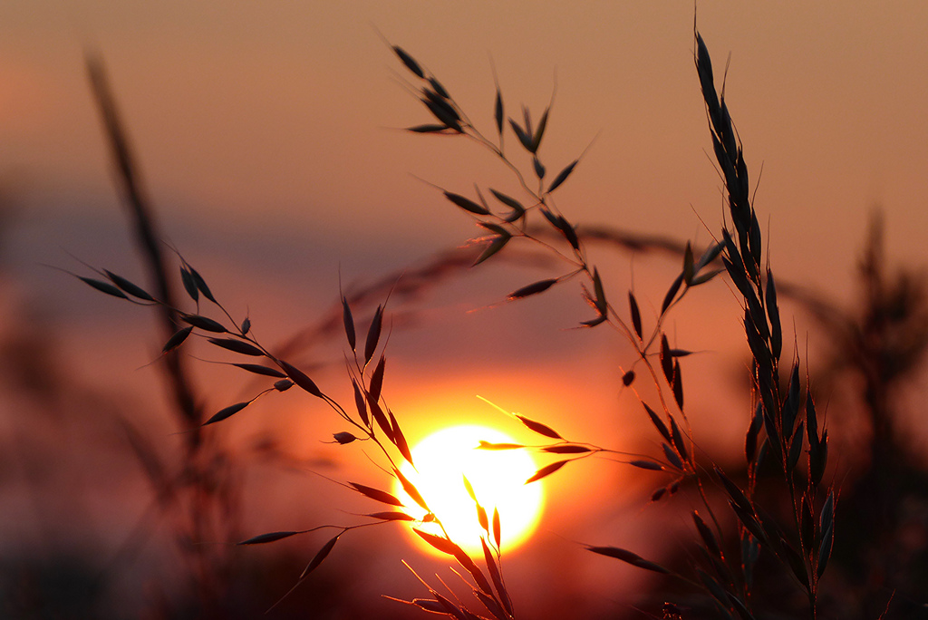Meteo Casteddu, un’altra giornata di sole e caldo su tutta l’Isola: punte di 28 gradi