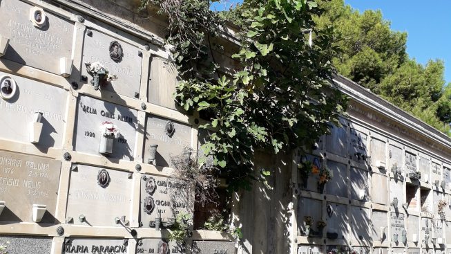 ll cimitero monumentale di Bonaria a Cagliari diventa un parco urbano: arte a cielo aperto per cagliaritani e turisti