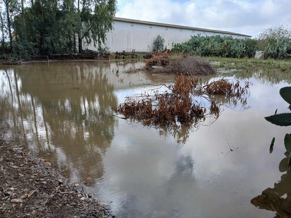 Decimoputzu, la disperazione di Cristy Podda: “Noi qui, con i campi totalmente allagati in vista dei raccolti”