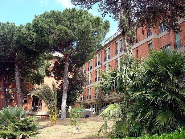 Cagliari, inizia il triduo di preparazione alla Festa della Medaglia Miracolosa