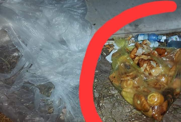 Scandalo a Cagliari: croissant invenduti gettati dentro una busta per l’immondizia abbandonata in uno dei rifugi dei senzatetto