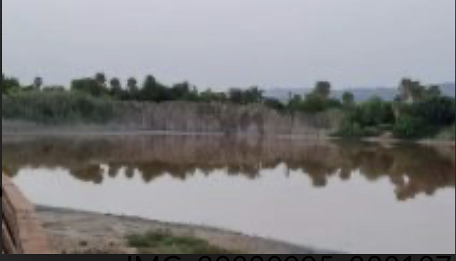 Quartu, ragazza molestata a Molentargius: “Un maniaco in bici con le mutande abbassate”