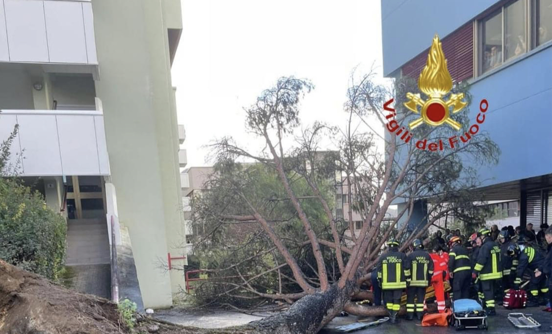 Cade un albero all’Università, feriti tre studenti